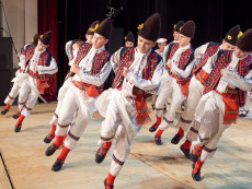 Фолклорен ансамбъл