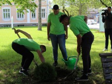 Откриха парк „Развигор” – зеленият оазис в централна градска част