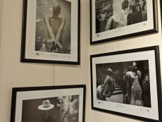 Открихме „Фото Академика 2024” – националният ежегоден годишен преглед на фотографското изкуство в България