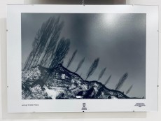 Фотографията на Стойо Стоев